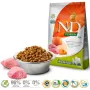 Ração seca para cães Farmina N&D Pumpkin BOAR & APPLE para cães adultos de raças médias e grandes, 12 kg, sem cereais, 30 % proteína