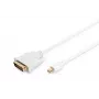 Cabo DisplayPort 1.1a Mini DP-DVI Type-A macho-macho 2,0 m