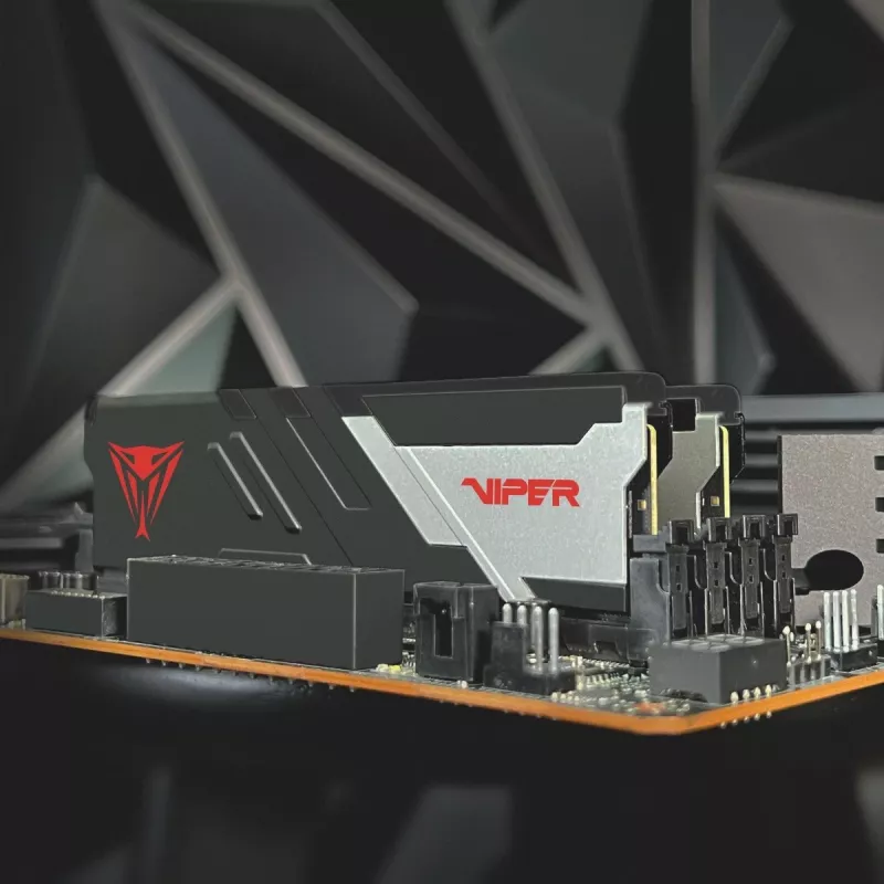 DIMM 32 GB DDR5-6000 (2x 16 GB) kit dual, memória RAM preta, PVV532G600C30K, Viper Venom, INTEL XMP, AMD EXPO