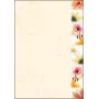 Sigel DP788 Flowerstyle papel com motivos, A4, 90 g/m2, 50 folhas