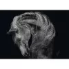 Puzzle Schmidt Spiele Ashley Rader Power Horse — 1000 peças, MPN 58543