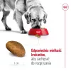 Royal Canin Maxi Adult ração seca para cães, 15 kg