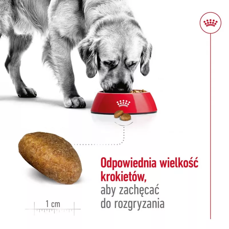Royal Canin Maxi Adult ração seca para cães, 15 kg