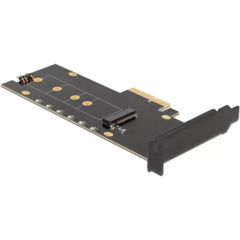 Placa de interface DeLOCK 89013 interna M.2 PCIe Low-Profile