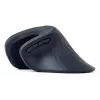 Gembird MUSW-ERGO-03 Rato Casa Destro RF Sem fios Ótico 1600 DPI