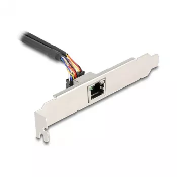 DeLOCK 95268 Adaptador RJ-45 interno Mini PCI Express 2,5 Gbit/s