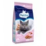 PREVITAL Senior com salmão ração seca para gatos, 1,4 kg