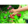 Corta-relvas WOLF-Garten RR 1500 BASIC PLUS