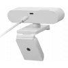 Webcam Lenovo GXC1D66063 2,8 MP 1920 x 1080 píxeis USB-C cinzento