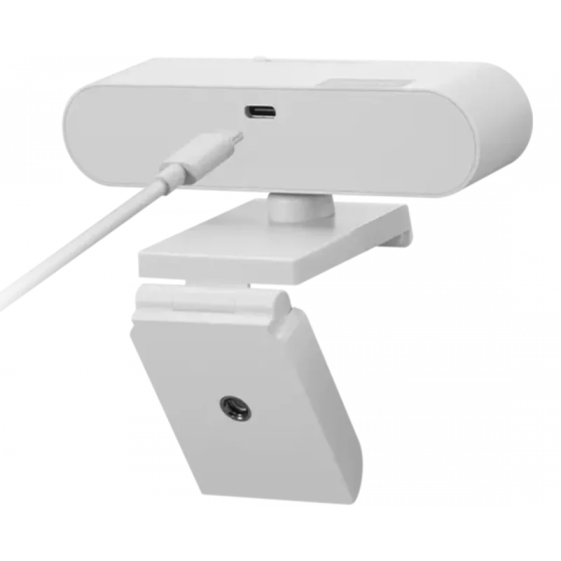 Webcam Lenovo GXC1D66063 2,8 MP 1920 x 1080 píxeis USB-C cinzento