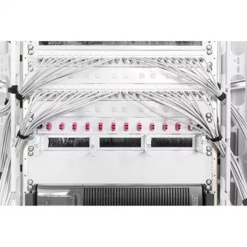 Placa cega Digitus DN-19 BPN-02