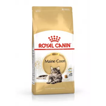 Comida seca para gatos Royal Canin Maine Coon Adult 4 kg — frango, 31 % proteína, 20 % gordura