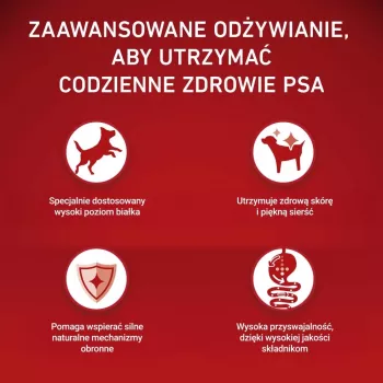 PURINA ONE MINI Dog Adult Vaca & Arroz 1,5kg