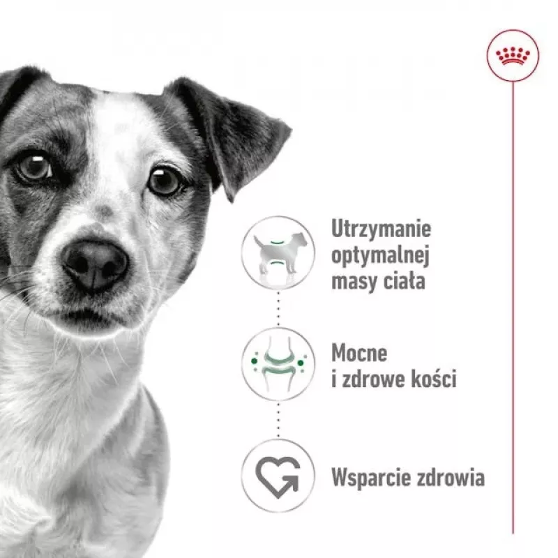 ROYAL CANIN Adult Mini S - Ração seca para cães - 4 kg