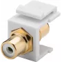 Goobay 79676 - Plano - branco - RCA - RCA - conector fêmea - conector fêmea (79676)