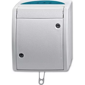 BUSCH JAEGER 2CKA001383A0141 - Interruptor de corrente - prateado - IP44 - RoHS CE - 250 V - 74 mm