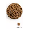 ACANA Adult Large Breed – ração seca para cães – 11,4 kg