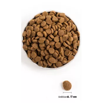 ACANA Adult Large Breed – ração seca para cães – 11,4 kg