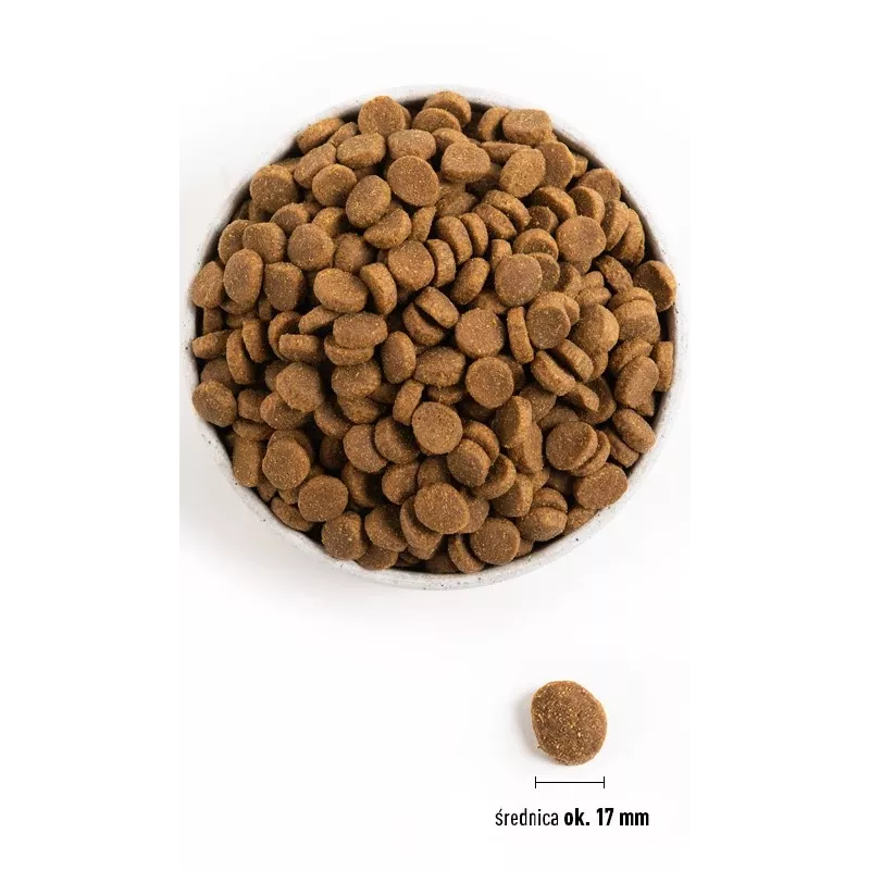 ACANA Adult Large Breed – ração seca para cães – 11,4 kg