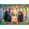 sweet puppy scene, puzzle 1000 peças