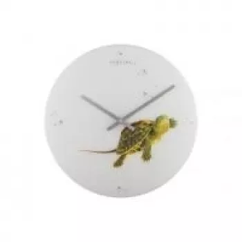 Relógio de parede NeXtime 8137 Turtle, Ø43 cm, branco/verde