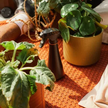 Pulverizador de cuidados para plantas 1071306
