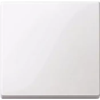 Placa de parede / tampa de interruptor Merten 432125, branco, termoplástico