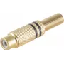 Conector RCA ShiverPeaks BS52021-S dourado fêmea