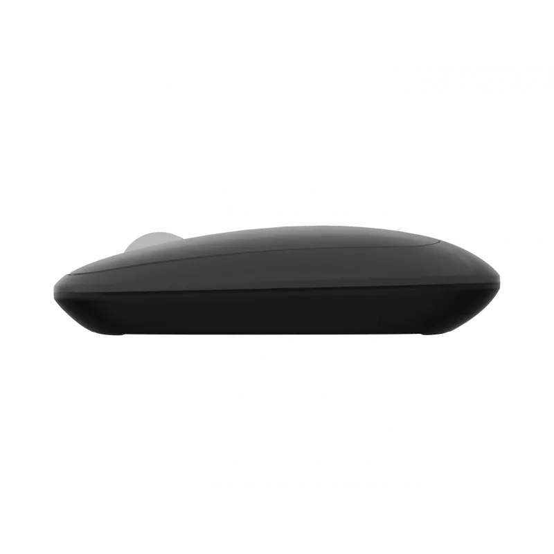 Rato Natec | Lark | Sem fios | 2,4 GHz, Bluetooth | Antracite