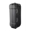 Altifalante Esperanza EP157 BT FM LED RGB Preto 10W