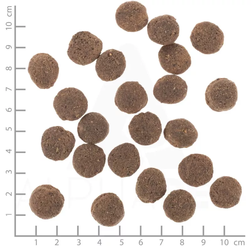 WOLFSBLUT VetLine Hipoalergénico Cavalo com Batata-doce - Alimento seco para cães - 2kg
