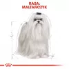Royal Canin Maltese Adult ração seca para cães, 1,5 kg