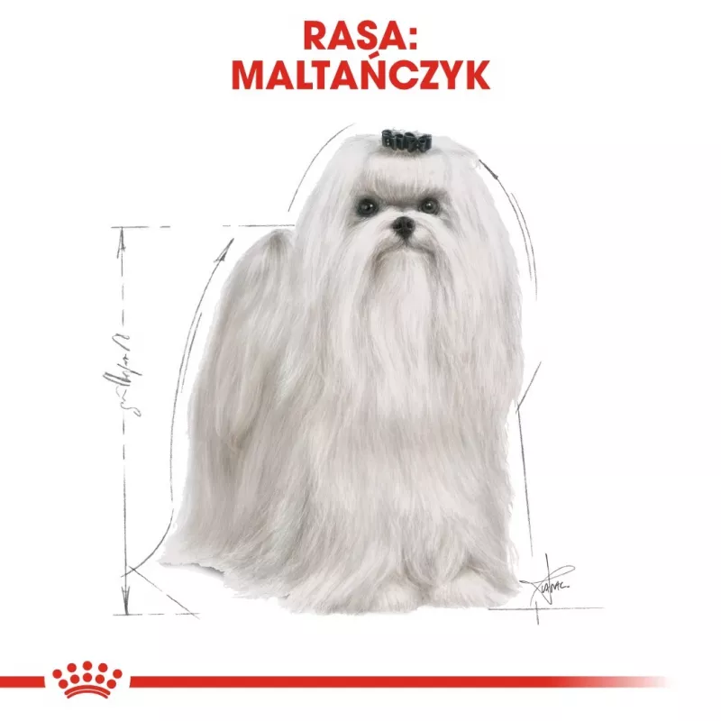Royal Canin Maltese Adult ração seca para cães, 1,5 kg