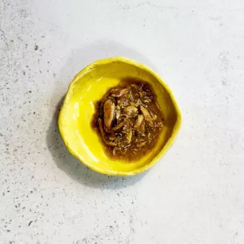 Ollo Atum com Alga em Caldo Nº 8 70 g