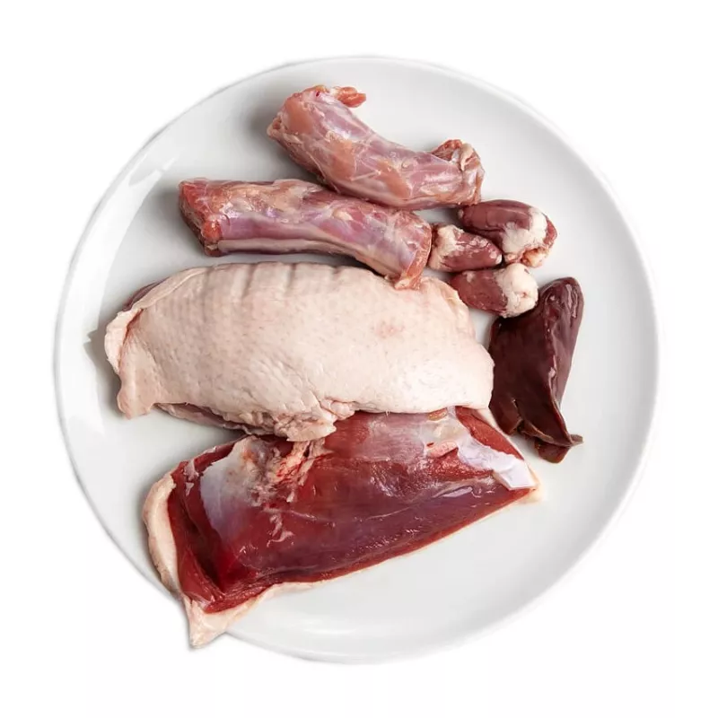 3Coty Duck comida húmida para gatos adultos, 180 g