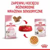 Royal Canin Feline Health Nutrition Kitten Instinctive em molho ração húmida para gatinhos, 12 x 85 g