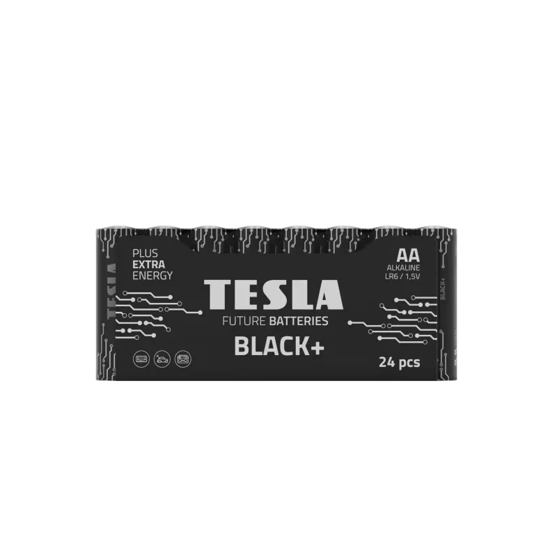 Pilhas Tesla AA preto+ R06 (24 unid.)