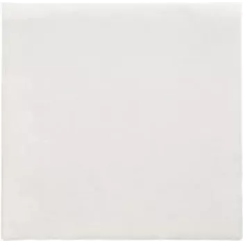 PAPSTAR guardanapos Daily Collection branco 2 folhas 16,0 x 16,0 cm 150 unidades (89636)
