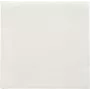 PAPSTAR guardanapos Daily Collection branco 2 folhas 16,0 x 16,0 cm 150 unidades (89636)