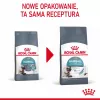 Ração seca para gatos Royal Canin Hairball Care 10 kg — fórmula para gatos adultos, milho e aves