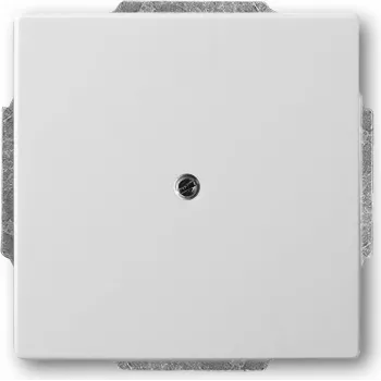 BUSCH JAEGER 1742-866 Placa central cega de técnica de dados e comunicação em aço inoxidável