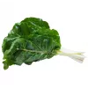 Sementes de hortícolas acelga Lucullus Toraf, pacote 5g
