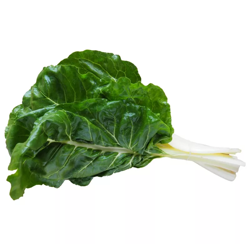 Sementes de hortícolas acelga Lucullus Toraf, pacote 5g