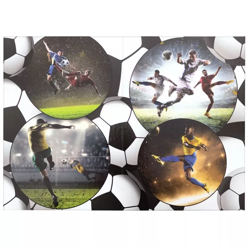 Papelão HERMA Football 19739