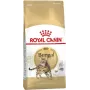 Royal Canin FBN Bengal Adult alimento seco para gatos, 10 kg