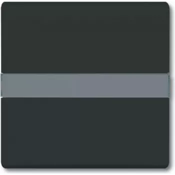 BUSCH JAEGER 2106 N-35 - preto - Busch-Jaeger - 70 mm - 70 mm - 1,3 cm - 1 unid.