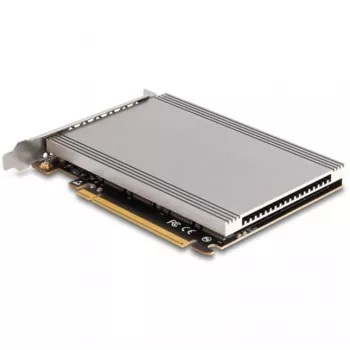 Placa de interface DeLOCK 90210