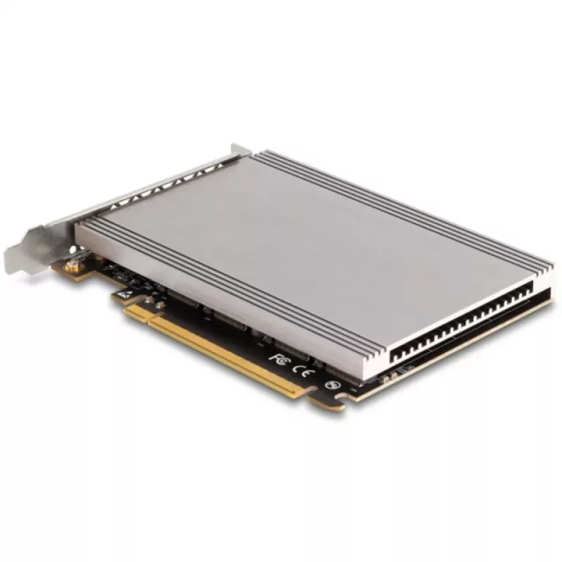 Placa de interface DeLOCK 90210