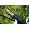 Serra de vara Bosch GKE 18V-25 TP — 25 cm de comprimento de corte, sem fios 18 V (06008D6000)