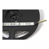 Synergy 21 Fita Flex LED 3528 - 120 DW (CCT) DC12V 48W por cor IP20